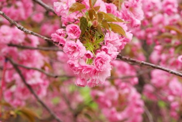 苏州相城区1线下个人借款平台一站式服务，轻松解决资金难题