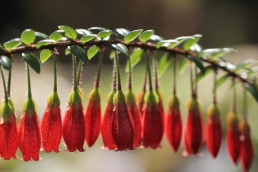 苏州相城区1零用贷短借：轻松解决临时资金需求