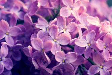 苏州相城区1企业急用钱贷款攻略：快速融资解燃眉之急